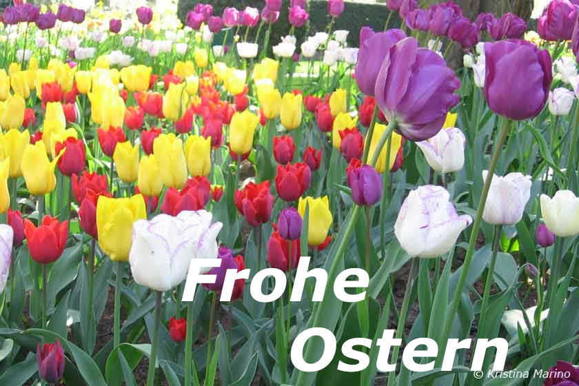 Frohe Ostern